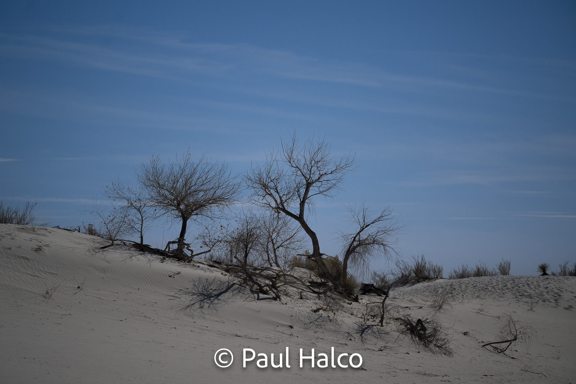 Paul Halco - White Sands NP-6